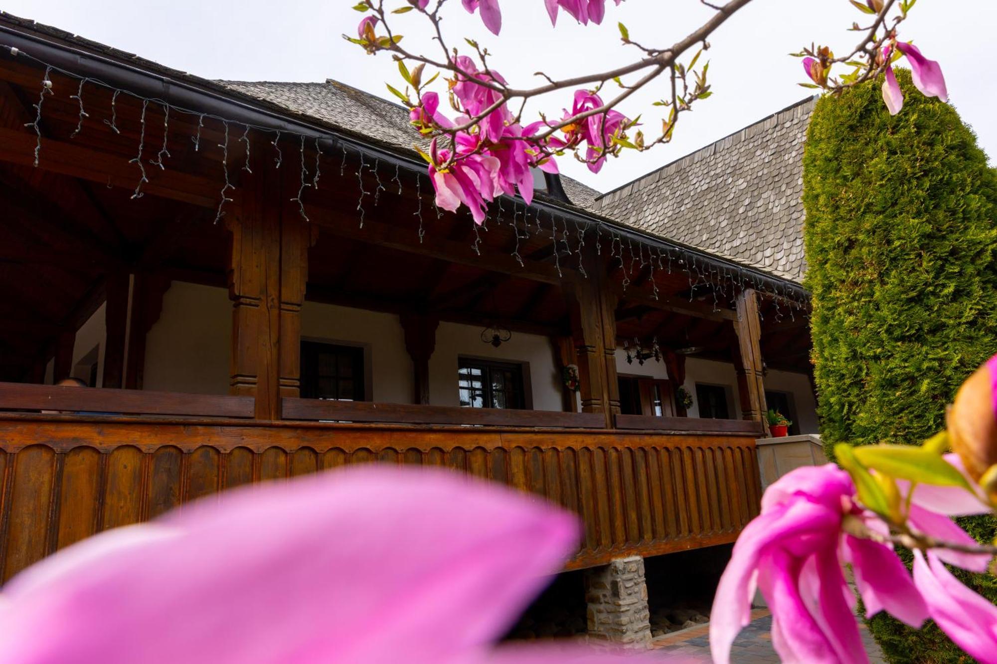 Casa Elena - Resort & Spa Voronet Ngoại thất bức ảnh